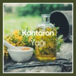 Kantaron Yağı